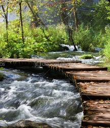 Uncle Ernie's Boner Makers 9 59e939e67f9b3.jpg