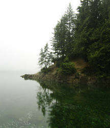 Uncle Ernie's Boner Makers 9 59e939f92409e.jpg