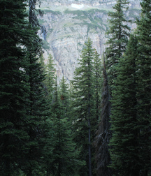 Uncle Ernie's Boner Makers 9 59e93a2612c78.jpg