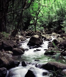 Uncle Ernie's Boner Makers 9 59e93ba4a7ad7.jpg