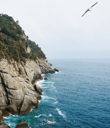 Uncle Ernie's Boner Makers 10 59e95f50da9da.jpg