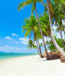 Uncle Ernie's Boner Makers 11 59e962dcba139.jpg