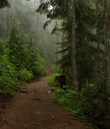 Uncle Ernie's Boner Makers 11 59e964578e3b0.jpg