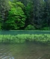 Uncle Ernie's Boner Makers 11 59e9648f5c3de.jpg