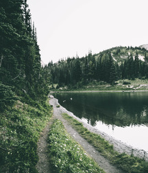 Uncle Ernie's Boner Makers 14 59ea06a681f06.jpg