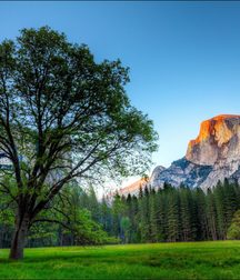 Uncle Ernie's Boner Makers 14 59ea06d83f09a.jpg