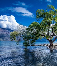 Uncle Ernie's Boner Makers 14 59ea09d49363f.jpg