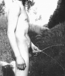 Uncle Ernie's Boner Makers 14 59ea0bee8122f.jpg