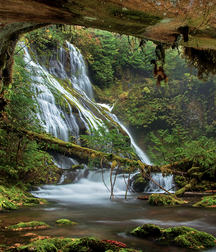 Uncle Ernie's Boner Makers 14 59ea0c6de8033.jpg