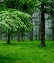 Uncle Ernie's Boner Makers 14 59ea0cbc5df97.jpg