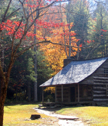 Uncle Ernie's Boner Makers 16 59ea867294aae.jpg