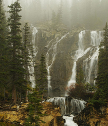 Uncle Ernie's Boner Makers 17 59ea88c326f82.jpg