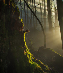 Uncle Ernie's Boner Makers 17 59ea8acc1a576.jpg