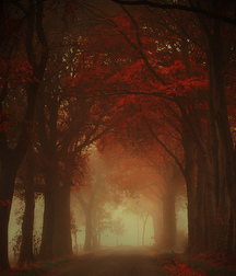 Uncle Ernie's Boner Makers 17 59ea8aebbe6fe.jpg