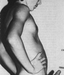 Uncle Ernie's Boner Makers 17 59ea8b2683d3d.jpg