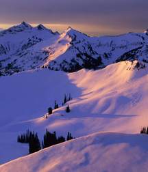 Uncle Ernie's Boner Makers 26 59ed12c1e4f9e.jpg