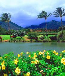 Uncle Ernie's Boner Makers 26 59ed135910a47.jpg