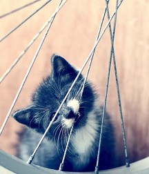 Uncle Ernie's Boner Makers 29 59ed1a2d5f895.jpg