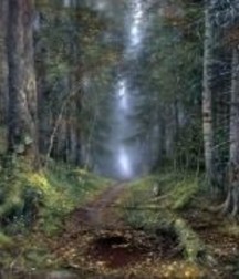 Uncle Ernie's Boner Makers 29 59ed1a3b5bd42.jpg