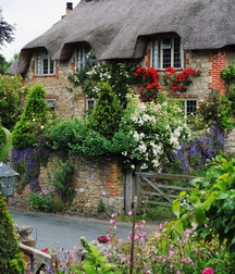 Uncle Ernie's Boner Makers 31 59edec087544a.jpg