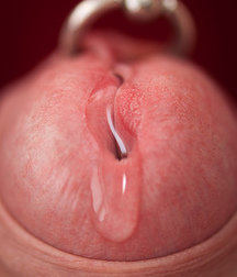 Uncle Ernie's Boner Makers 31 59edec13a9837.jpg