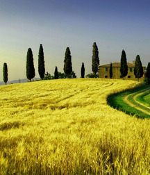 Uncle Ernie's Boner Makers 31 59ededc663e89.jpg