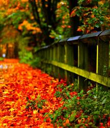 Uncle Ernie's Boner Makers 31 59ededcbda1f0.jpg