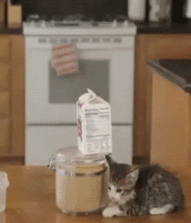 Uncle Ernie's Boner Makers 32 59ee0351dae34.gif