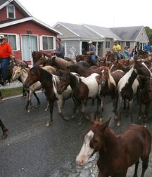 Uncle Ernie's Boner Makers 32 59f09bef9f003.jpg