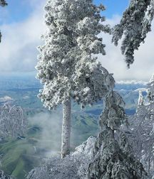 Uncle Ernie's Boner Makers 32 59f09d0381d17.jpg