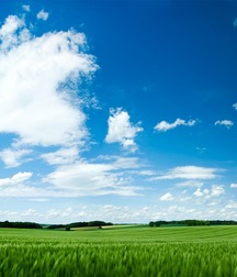 Uncle Ernie's Boner Makers 32 59f0a0df754d6.jpg