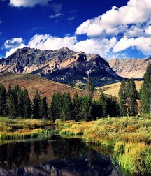 Uncle Ernie's Boner Makers 32 59f0a20b52bb9.jpg