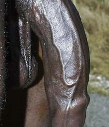 Big cocks xxl 2 59bc0640b56a8.jpg