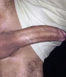 Cocks 59c53efb35250.jpg
