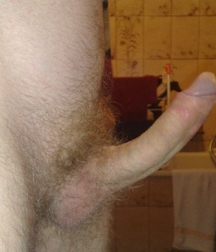 Cocks 59c53f18916b8.jpg