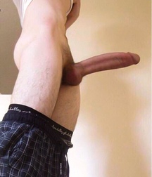 Cocks 59c53f1d32d93.jpg