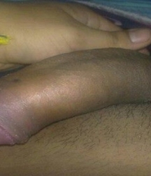 Cocks 59c53f396c19b.jpg