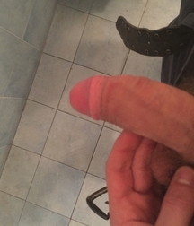 Cocks 3 59cbccedf1c0e.jpg