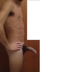 Cocks 3 59cbcd0265990.jpg