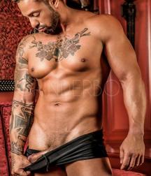 Bad Guys 2 5a180a49ded9f.jpg