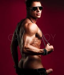 Bad Guys 2 5a180a849dc14.jpg