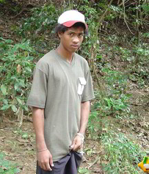 Alfredo 5bbe59ea0685c.jpg