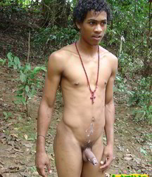 Alfredo 5bbe59f10aa08.jpg