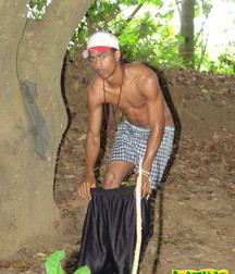 Alfredo 5bbe5a30432f5.jpg