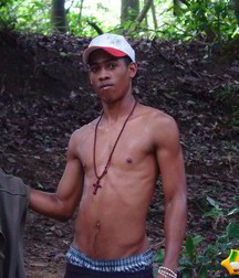 Alfredo 5bbe5a330b85a.jpg