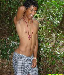 Alfredo 5bbe5a488c3b1.jpg