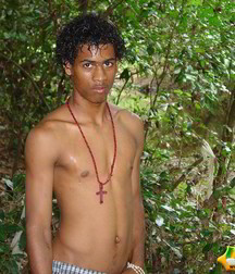 Alfredo 5bbe5a4a1ce4e.jpg