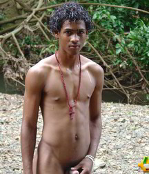 Alfredo 5bbe5a590d0eb.jpg