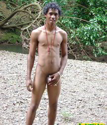 Alfredo 5bbe5a5c1b4af.jpg