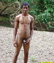 Alfredo 5bbe5a5d83b22.jpg